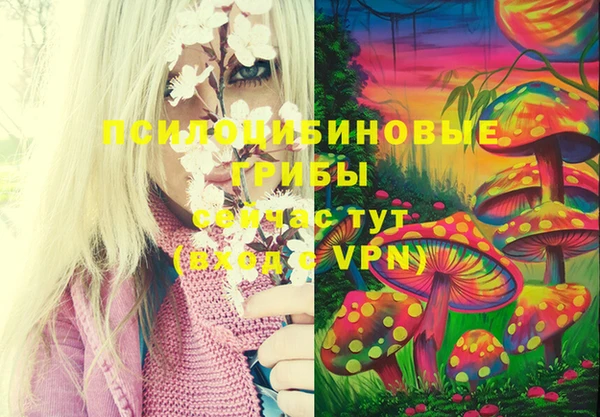 spice Алексеевка