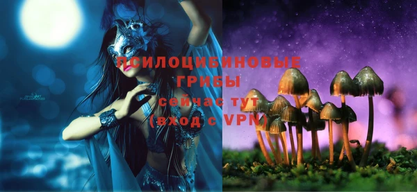 прущая мука Алзамай