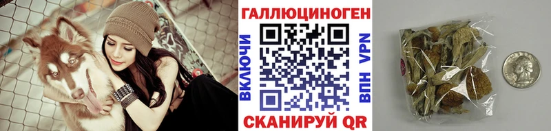 Галлюциногенные грибы Psilocybe  Лукоянов 